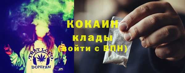 PSILOCYBIN Богородицк