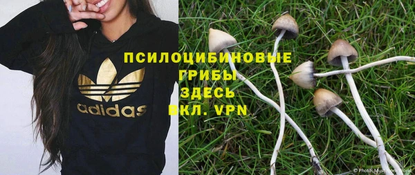 PSILOCYBIN Богородицк
